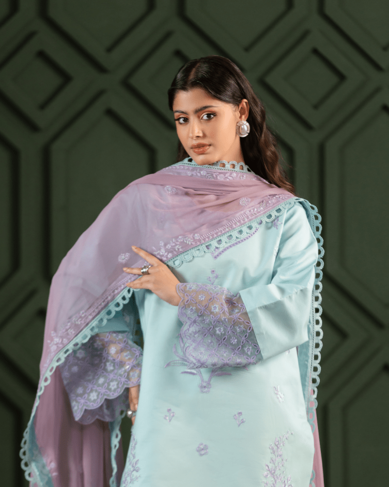 Aabshaar - Ayleen Clothing